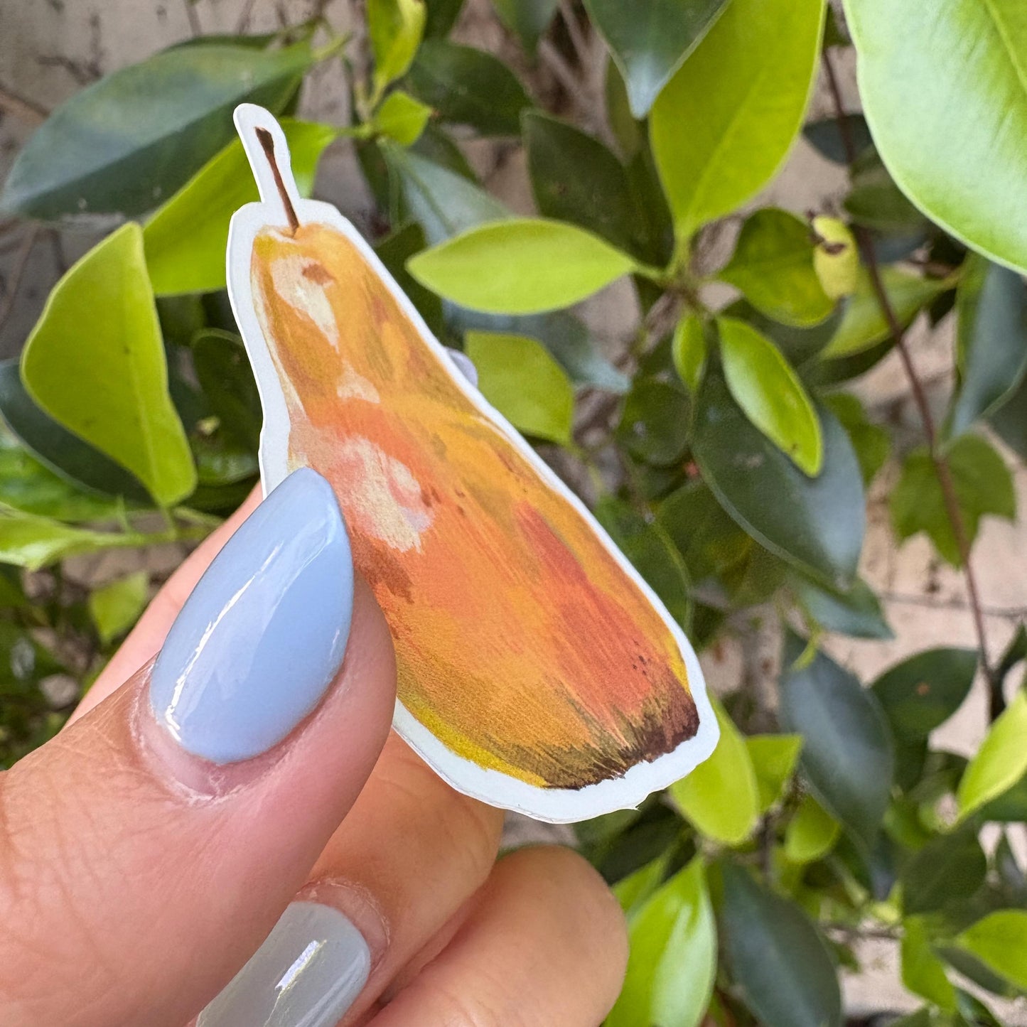 pear sticker