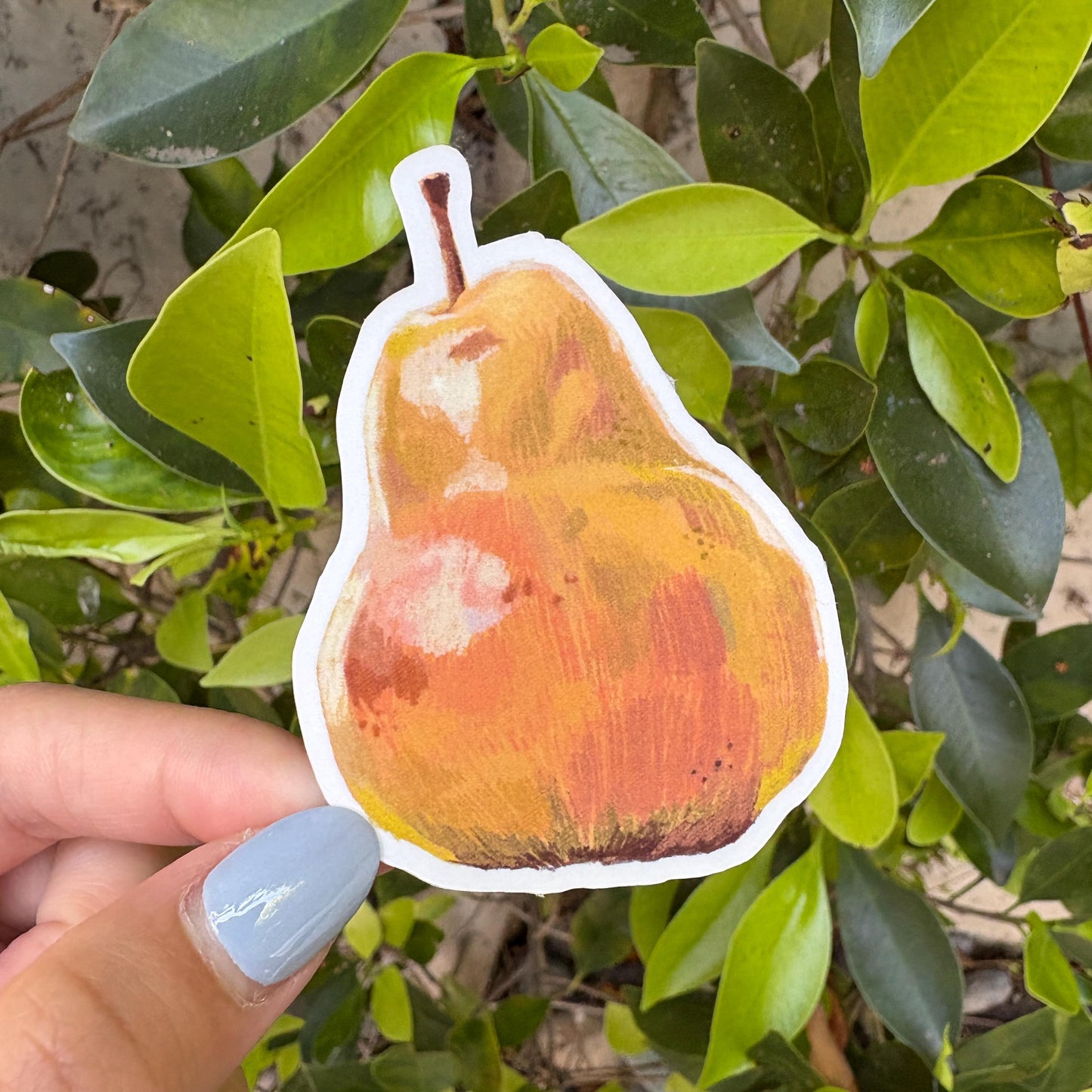 pear sticker